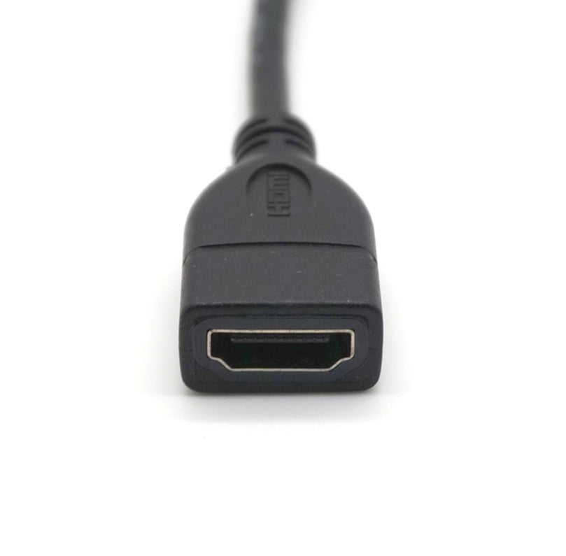 HDMI Female