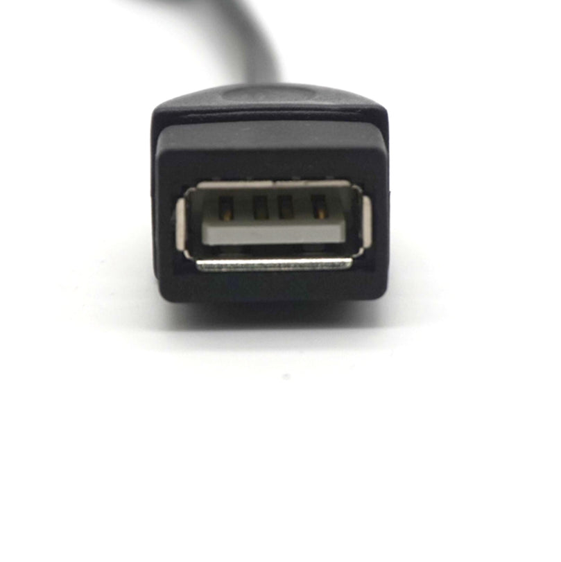 Mini USB OTG
