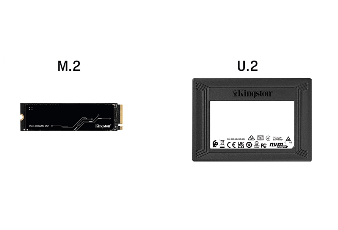 Что такое SSD U.2? Как U.2 SSD отличается от M.2 SSD? Простое руководство What Is U.2 SSD? How about U.2 SSD vs. M.2 SSD? An Easy Guide