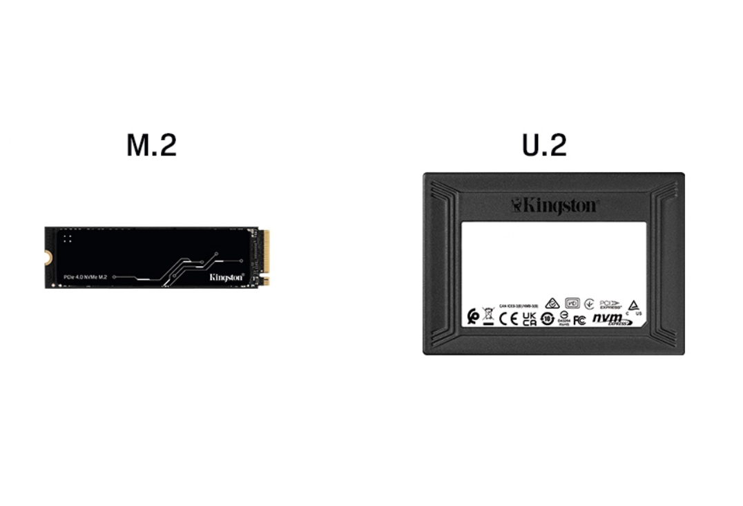 M.2 VS U.2 SSD Drives
