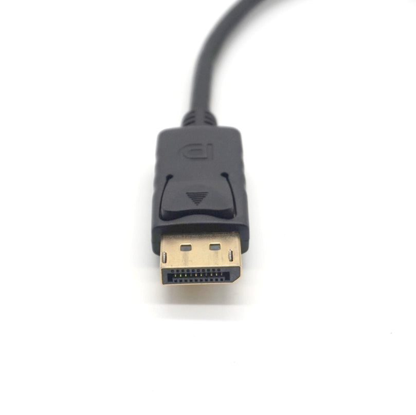 DisplayPort DP