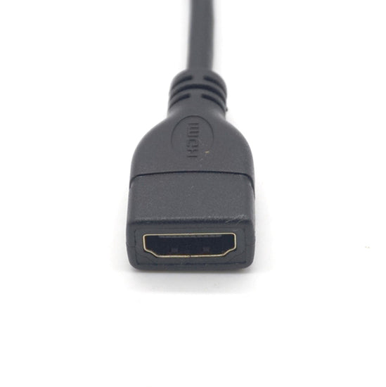 HDMI Female