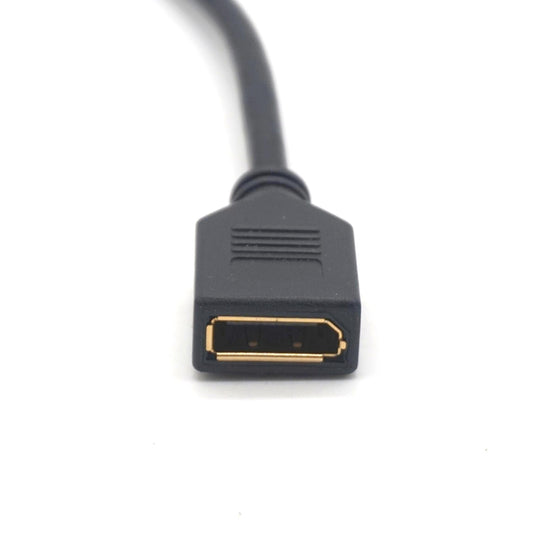 Mini DisplayPort