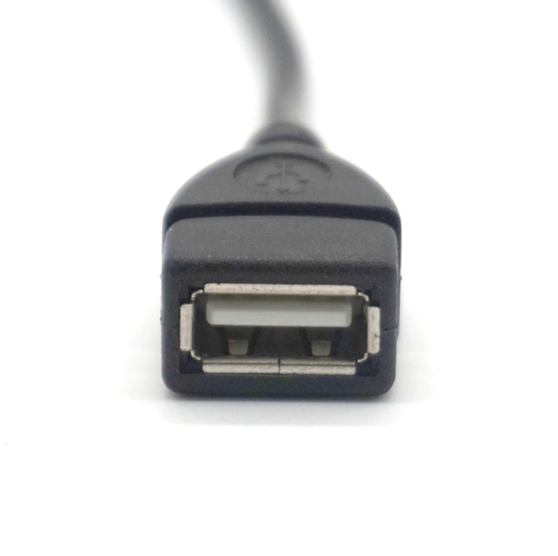 Mini USB OTG