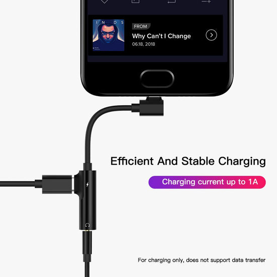 Type-C Audio Cable